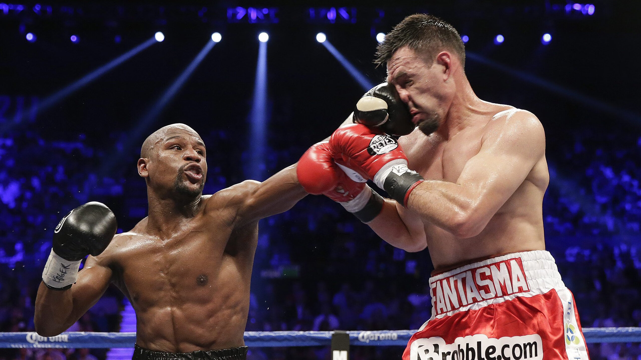 意大利骑手拉里萨·保利斯在2024年巴黎奥运会盛装舞步比赛中获得第七名，展现出色表现。